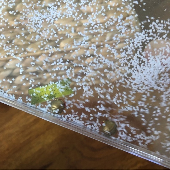 Polar Express Acrylic snow globe picture frame 4x6 - Picture 2 of 2